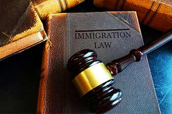Litigio / Tribunal de Inmigración